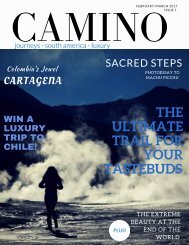 Camino magazine Feb 2017