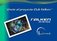 Presentacion Proyecto Club Falken Web