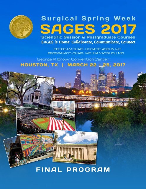 SAGES 2017