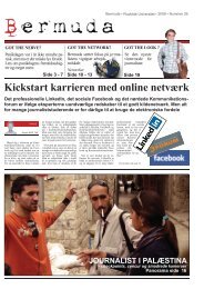 Kickstart karrieren med online netværk - Bermuda - Roskilde ...