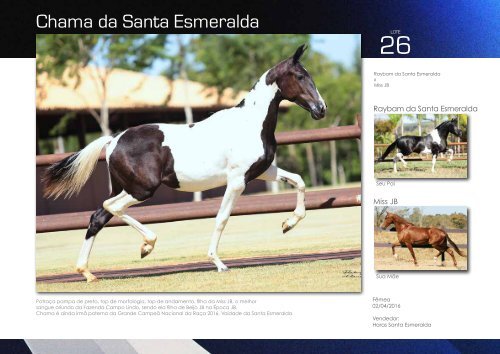 Catalogo Marcha News - Criação Santa Esmeralda
