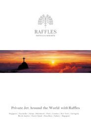 Private Jet Around the World with Raffles