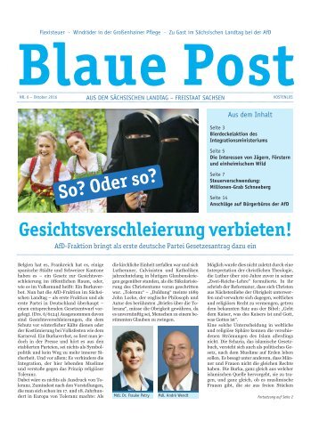 Blaue Post Nr.6 - Oktober 2016