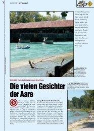 Die vielen Gesichter der Aare