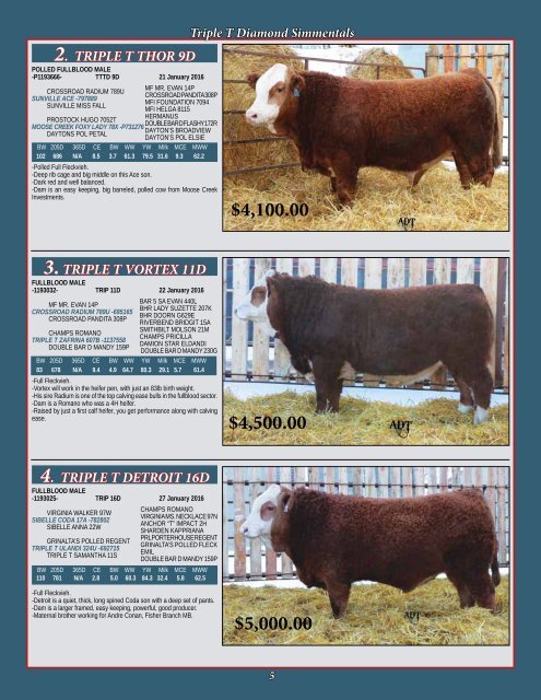 Transcon’s Winnipeg Simmental Bull Sale