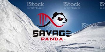 Savage Panda Story 3