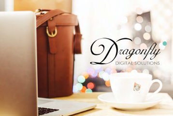 DRAGONFLY DIGITAL SOLUTIONS 2017