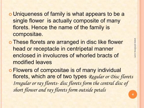 Compositae family remedies - Similima