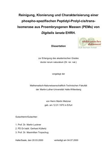 Reinigung, Klonierung und Charakterisierung einer phospho ...