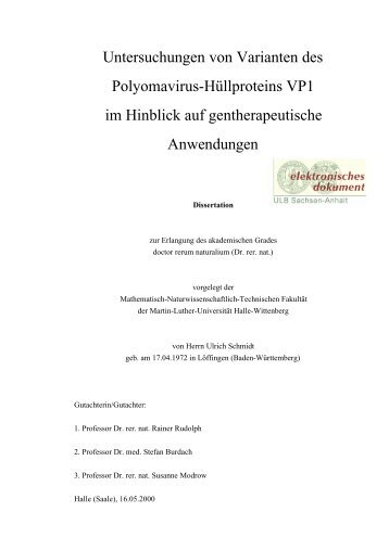 Untersuchungen von Varianten des Polyomavirus-Hüllproteins VP1 im