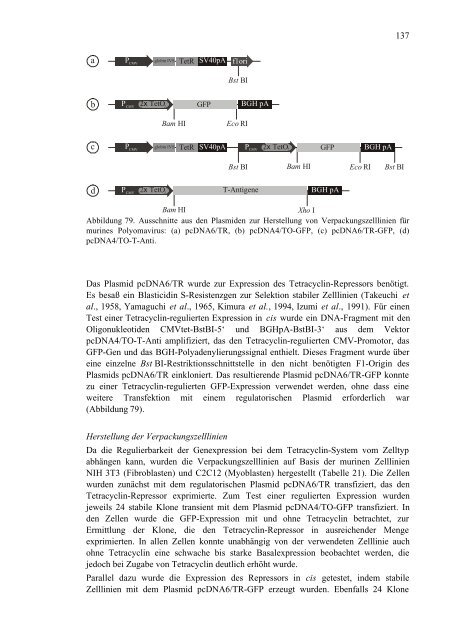 Untersuchungen von Varianten des Polyomavirus-Hüllproteins VP1 im