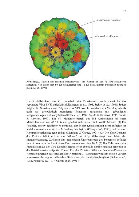 Untersuchungen von Varianten des Polyomavirus-Hüllproteins VP1 im