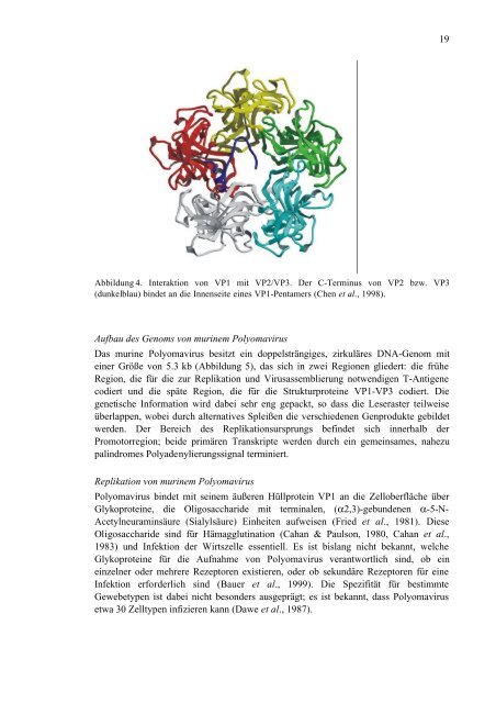 Untersuchungen von Varianten des Polyomavirus-Hüllproteins VP1 im