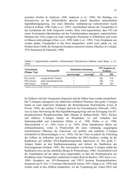 Untersuchungen von Varianten des Polyomavirus-Hüllproteins VP1 im