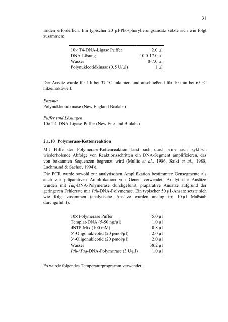 Untersuchungen von Varianten des Polyomavirus-Hüllproteins VP1 im