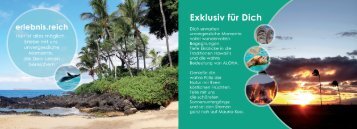 Aloha - Hawaii Reise mit Fortuna Academy