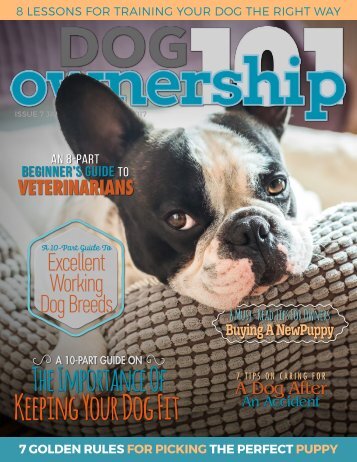 Dog Ownership 101 - January/February 2017