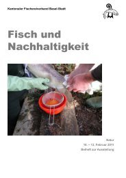 Fisch und Nachhaltigkeit - Kantonaler Fischerei-Verband Basel-Stadt