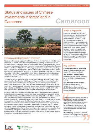 Cameroon Briefing English