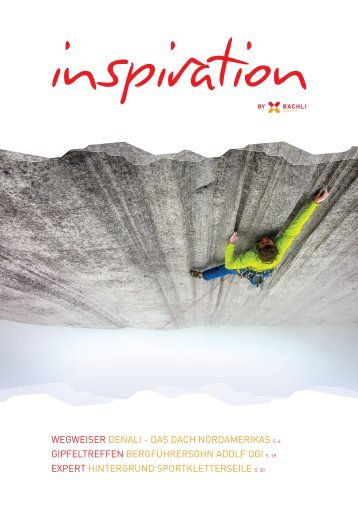 Inspiration 02/2015 dt