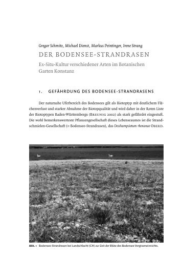 DER BODENSEE-STRANDRASEN - Universität Konstanz
