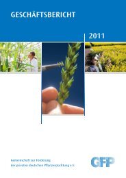 Forschungsprogramm 2011/2012 - Bundesverband Deutscher ...