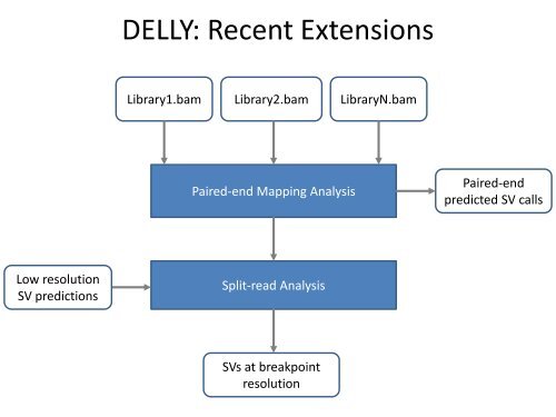 Split-read Analysis Paired-end Mapping Analysis