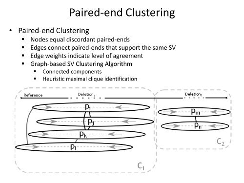 Split-read Analysis Paired-end Mapping Analysis