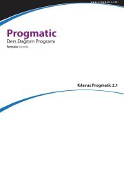 progmatic-guide