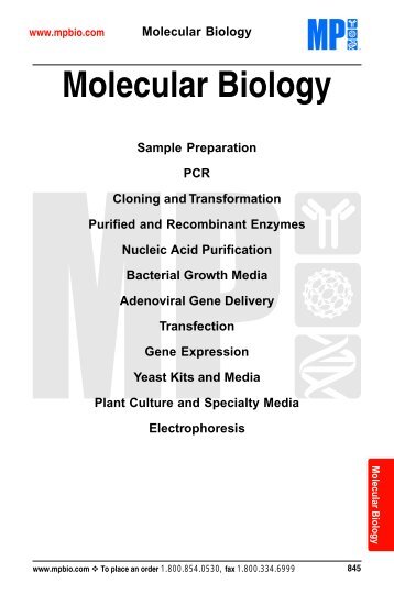 Molecular Biology