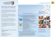 Flyer Ehrenamtskarte - Landkreis Haßberge