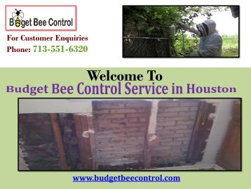 Pest control company Houston| Budget Bee Control