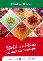 Dahlienkatalog_2017_Einzelseiten