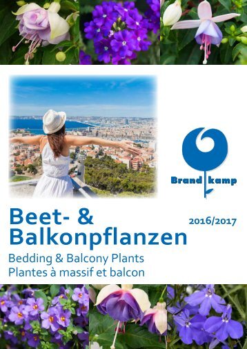 Brandkamp B & B 2017