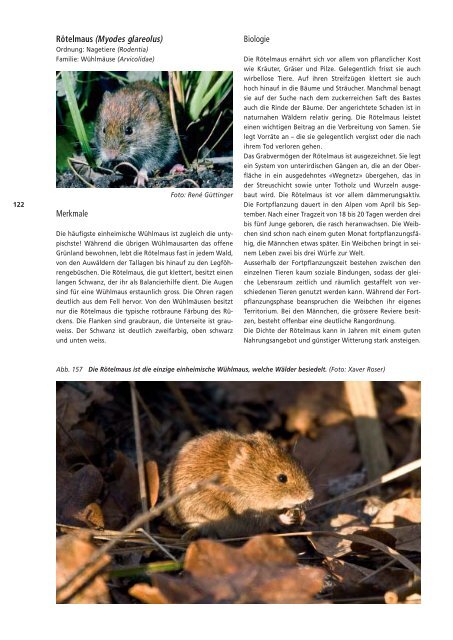 Die Säugetiere des Fürstentums Liechtenstein (Mammalia)