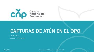 CAPTURAS DE ATÚN EN EL OPO