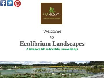 ECOlibrium Landscapes