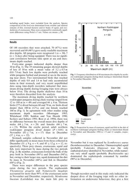 Maximum diving depths of northern rockhopper penguins ... - CEBC