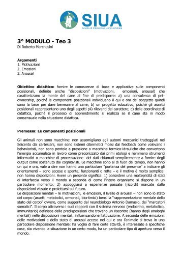 3° MODULO - Teo 3 - Siua
