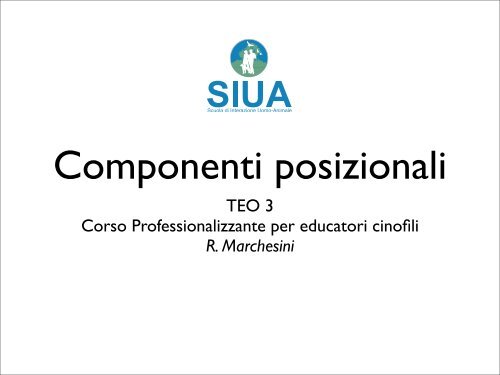 EC.TEO_.03 - LE COMPONENTI POSIZIONALI.pdf - Siua