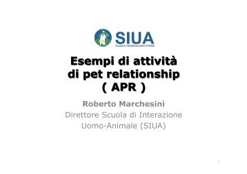 Affettivo-Epimeletica - Siua