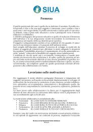 Premessa Lavoriamo sulle motivazioni - SIUA