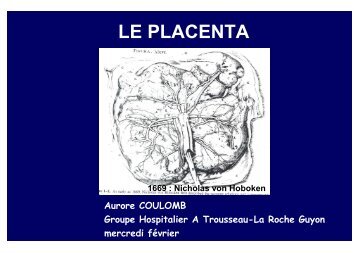 placenta p34