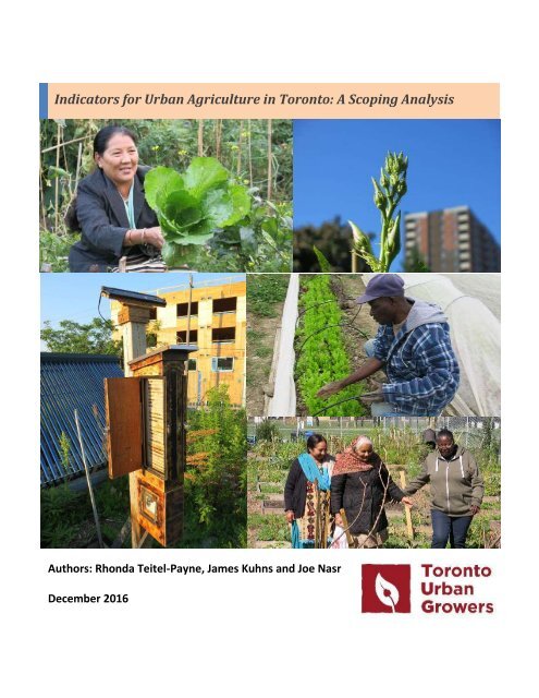 Indicators for Urban Agriculture in Toronto A Scoping Analysis