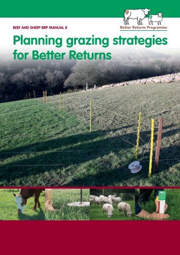 Planning grazing strategies for Better Returns