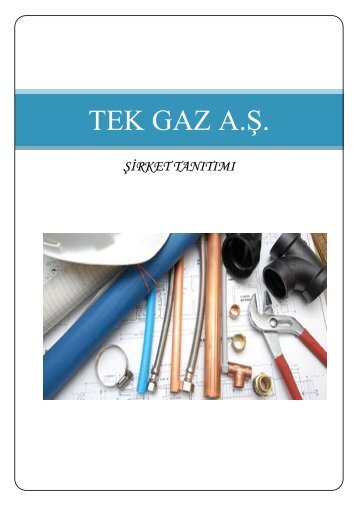 TEK GAZ A.Ş