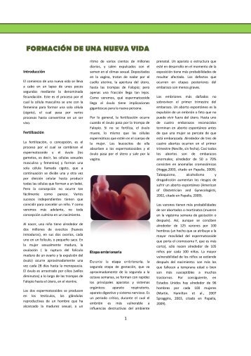 REVISTA2