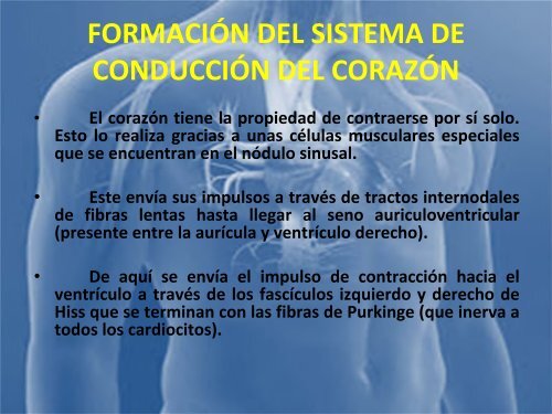 sistema_cardiovascular 2017