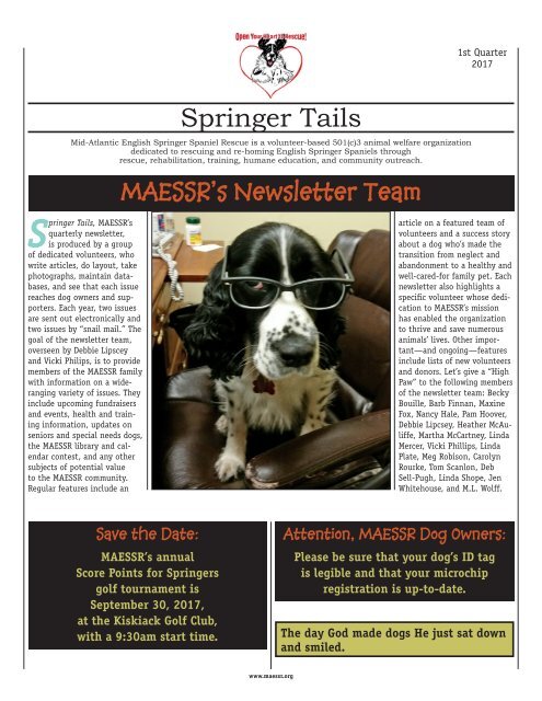english springer spaniel welfare