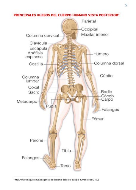 libro EMERGENCIAS PRÁCTICAS EN SALUD dr paz abril 2016-1